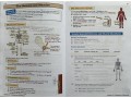 KS3 Biology Study & Question Book