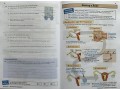 KS3 Biology Study & Question Book