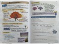 KS3 Biology Study & Question Book