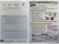 KS3 Biology Study & Question Book