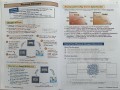 KS3 Chemistry Study & Question Book