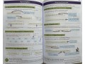 KS3 English Complete Revision & Practice (with Online Edition, Quizzes and Knowledge Organisers)