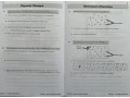 KS3 Physics Workbook (includes online answers)