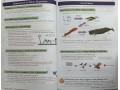 KS3 Science Complete Revision & Practice – Higher (includes Online Edition, Videos & Quizzes)