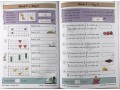  KS2 Maths Daily Practice Book Bundle: Year 6 - Autumn Term, Spring Term & Summer Term