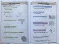 KS2 Maths Targeted Study Book - Year 6