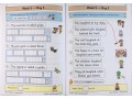 KS1 Phonics Daily Practice Book Bundle: Year 1 - Autumn Term, Spring Term & Summer Term