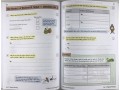  Reading Targeted Question Book Year 3