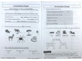 KS2 Science Year 4 Workout Bundle