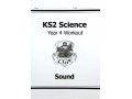 KS2 Science Year 4 Workout Bundle