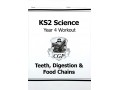 KS2 Science Year 4 Workout Bundle