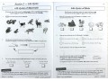 KS2 Science Year 5 Workout Bundle