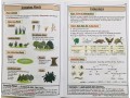 Science Study Book KS2