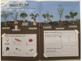 KS1 Discover & Learn: Science - Study & Activity Book, Year 1