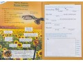 KS1 Discover & Learn: Science - Study & Activity Book, Year 2