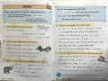 English Grammar, Punctuation & Spelling Targeted Question Book Year 3 KS2