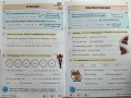 English Grammar, Punctuation & Spelling Targeted Question Book Year 5 KS2