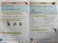 English Grammar, Punctuation & Spelling Targeted Question Book Year 6 KS2