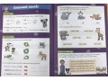 Spelling Activity Book. Ages 5-6