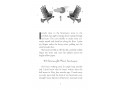 Asha and the Spirit Bird