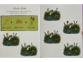 The Gruffalo and Friends Advent Calendar Book Collection