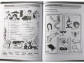  Practice in the Basic Skills English Book 2