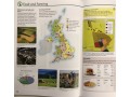 UK in Maps (Collins Primary Atlases)