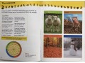 Collins Primary Geography Pupil Book 1 & 2