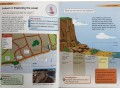 Collins Primary Geography Pupil Book. Investigation 3