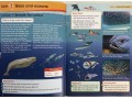 Collins Primary Geography Pupil Book. Change 5