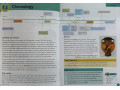 Collins Primary History Pupil Book. Ancient Greece