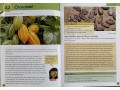 Collins Primary History Pupil Book. The Maya Collins Primary History Pupil Book. The Maya