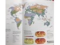 School Atlas (Collins Primary Atlases)