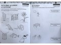 International Primary Science Student's Book + Workbook: Stage 1