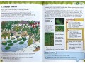 International Primary Science Student's Book + Workbook: Stage 3