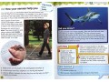 International Primary Science Student's Book + Workbook: Stage 3