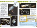 International Primary Science Student's Book + Workbook: Stage 4