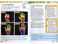 International Primary Science Student's Book + Workbook: Stage 4