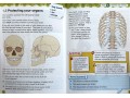 International Primary Science Student's Book + Workbook: Stage 4