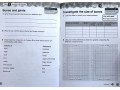 International Primary Science Student's Book + Workbook: Stage 4