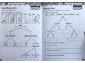 International Primary Science Student's Book + Workbook: Stage 4