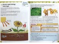 International Primary Science Student's Book + Workbook: Stage 5