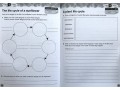 International Primary Science Student's Book + Workbook: Stage 5