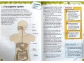 International Primary Science Student's Book + Workbook: Stage 6