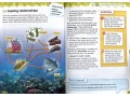 International Primary Science Student's Book + Workbook: Stage 6