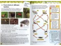 International Primary Science Student's Book + Workbook: Stage 6