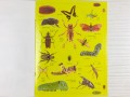 Bugs. The Ultimate Glow in the Dark Sticker Book