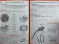 Science Made Easy, Ages 6-7 (Key Stage 1)