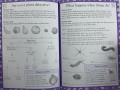 Science Made Easy, Ages 8-9 (Key Stage 2)