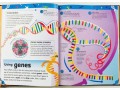 The DNA Book